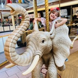 Entry image for Ami Elephant