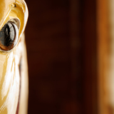 Entry image for Untitled