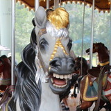Entry image for Happy Horse