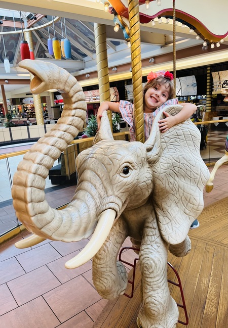 Entry image for Ami Elephant. Clicking this image will show a larger photo
