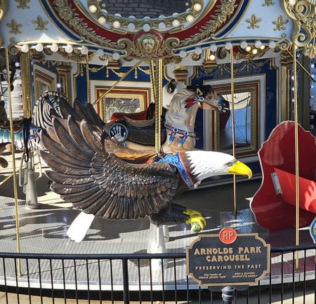 Entry image for Bald Eagle. Clicking this image will show a larger photo