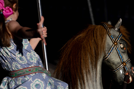 Entry image for Reaching For the Brass Ring . Clicking this image will show a larger photo
