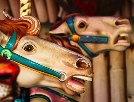 Entry image for At The Wire. Clicking this image will show a larger photo