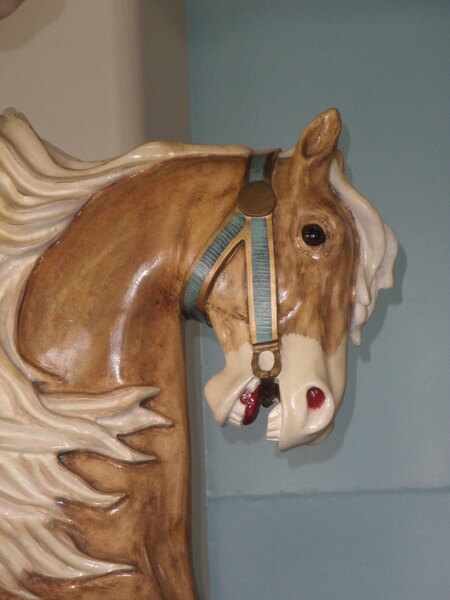 Entry image for Biscuit. Clicking this image will show a larger photo