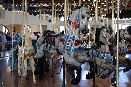 Entry image for The race is on!. Clicking this image will show a larger photo