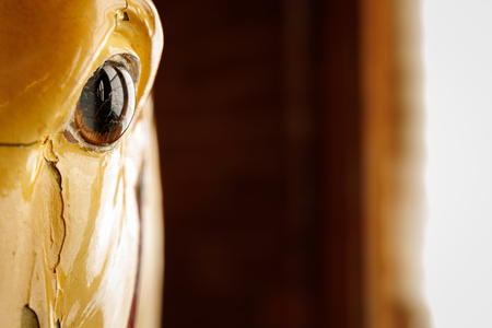 Entry image for Untitled. Clicking this image will show a larger photo