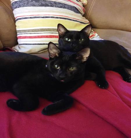 Obi & MimiJ