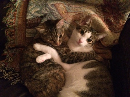 Daisy & Gatsby