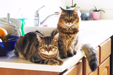 Gaspard & Stanley