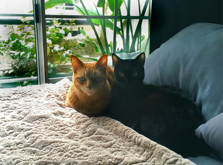 Cubby & Harley