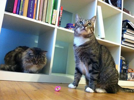Fritz and Zoey