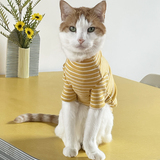 Entry image for Kiki