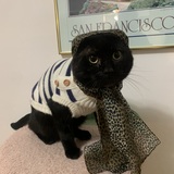 Entry image for Smokey 