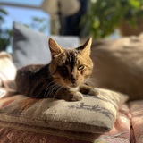 Entry image for Vision