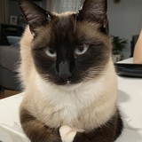 Entry image for Greyson