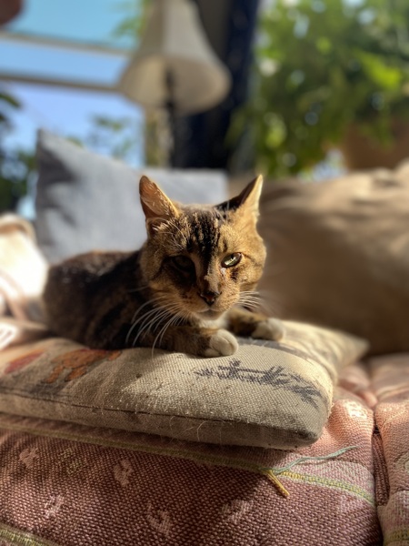 Entry image for Vision. Clicking this image will show a larger photo