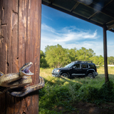 Entry image for Ratsnake Rage