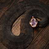 Entry image for Cognizant Cottie