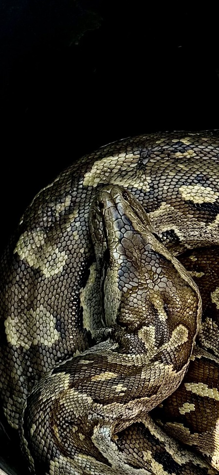 Entry image for Ripple Effect. Clicking this image will show a larger photo