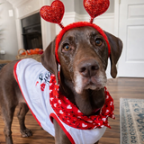 Entry image for Tilly