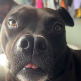 Entry image for Violet