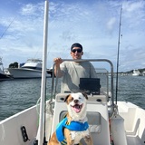 Entry image for Honey