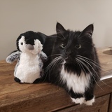 Entry image for Ping Pong