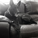 Entry image for Keiki