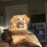 Entry image for Zoey