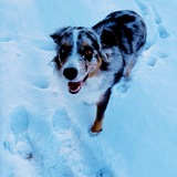 Entry image for Millie