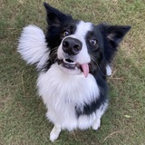 Entry image for Mario!