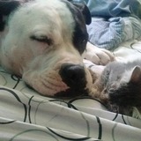 Entry image for Queen