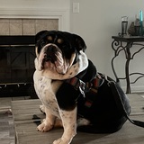 Entry image for Mojito