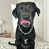 Entry image for Miller