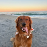 Entry image for Boone