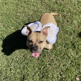 Entry image for Clara