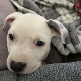 Entry image for Nami