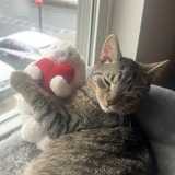 Entry image for George 