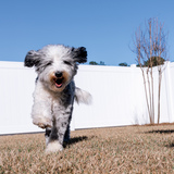 Entry image for Princess Peach