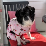 Entry image for Skittles