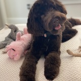 Entry image for Elsie 