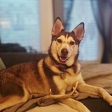 Entry image for Mena