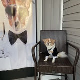 Entry image for Lucky