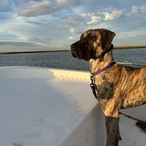 Entry image for Luna Marie 