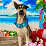 Entry image for Pilar