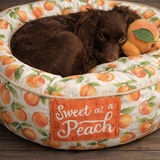 Entry image for Southern Carolina Peach “Peach”