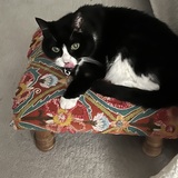 Entry image for Mitzi McKenzie Price 