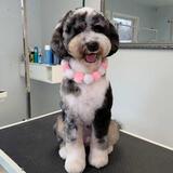 Entry image for Wednesday 