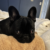 Entry image for General Patton