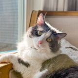 Entry image for Ziggy Payne